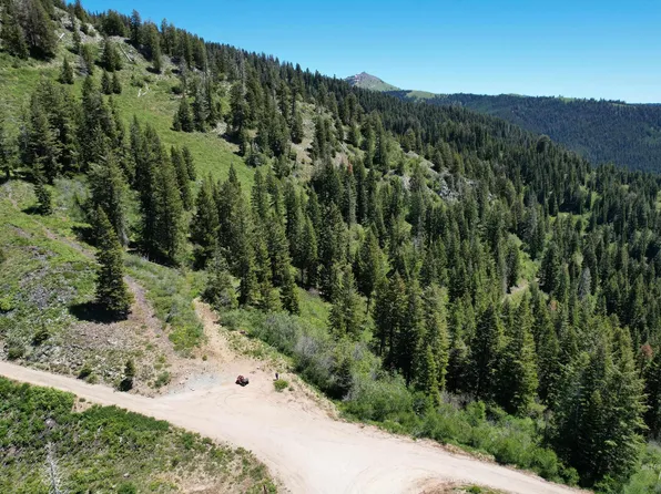 0 Forest Service Rd #106, Council, ID 83612