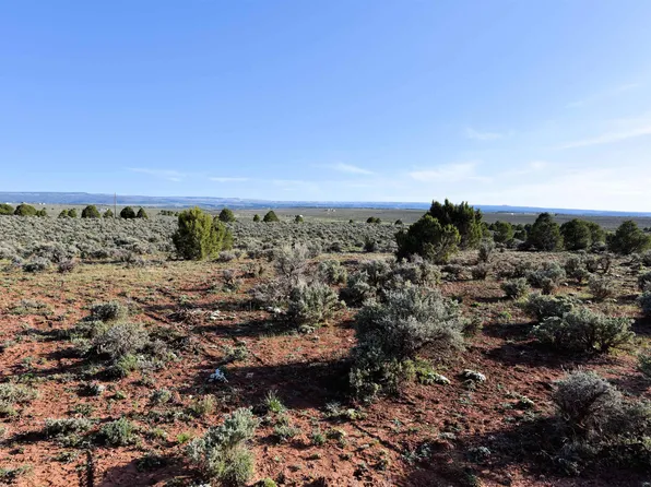 15997 Holloway Ln, Glade Park, CO 81523
