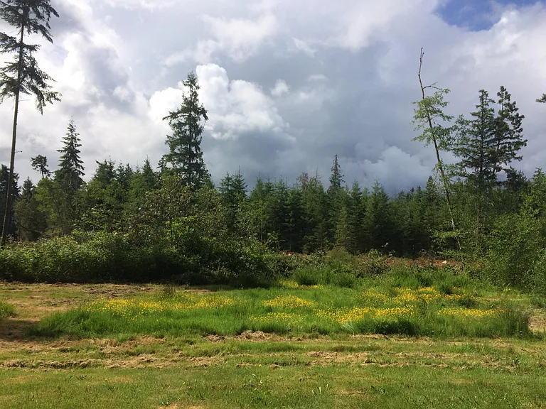 Thompson Rd — Photo 12