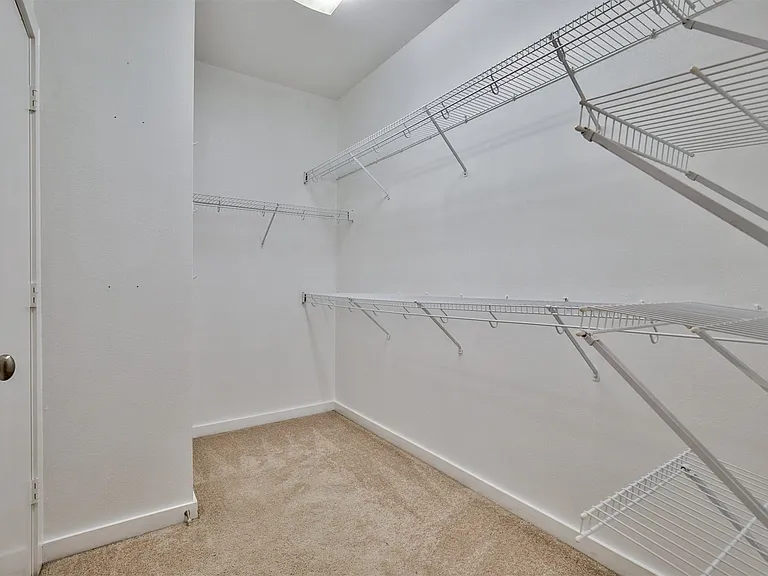 Walk-in closet featuring light beige carpet, white walls, and extensive wire shelving