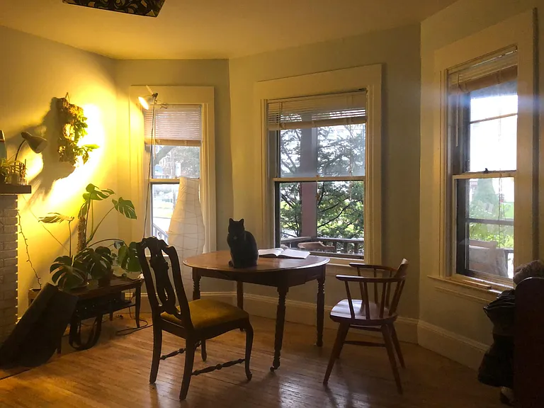 1419 E Fayette St #1B — Photo 63