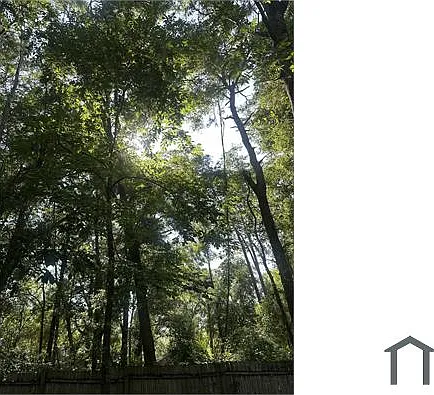 2 bed, $1,500 — Photo 3