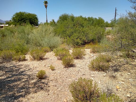5th image of 2310 W Ironwood Ridge Dr #96