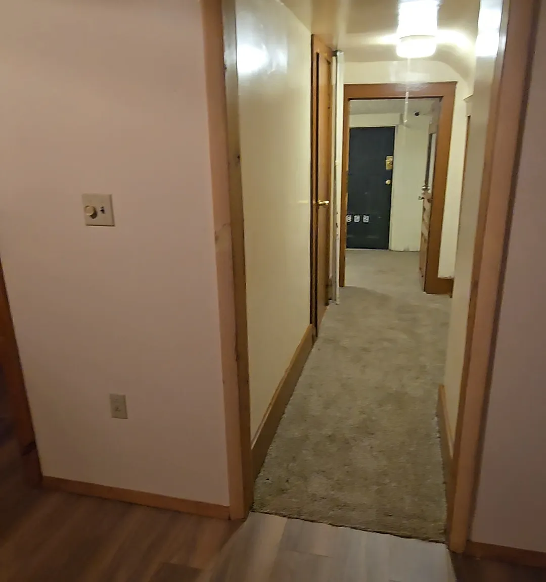 1 bed, $800 — Photo 2