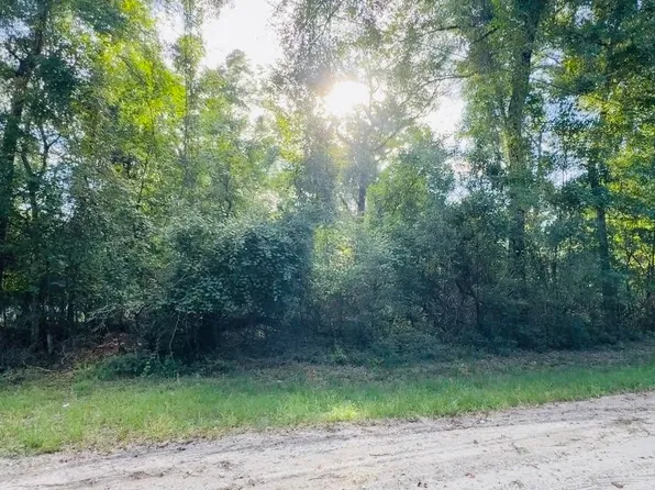 754 SW California Ter, Fort White, FL 32038
