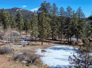 12362 Polly Dr, Pine, CO 80470