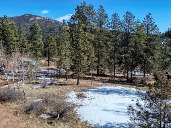 12362 Polly Drive, Pine, CO 80470