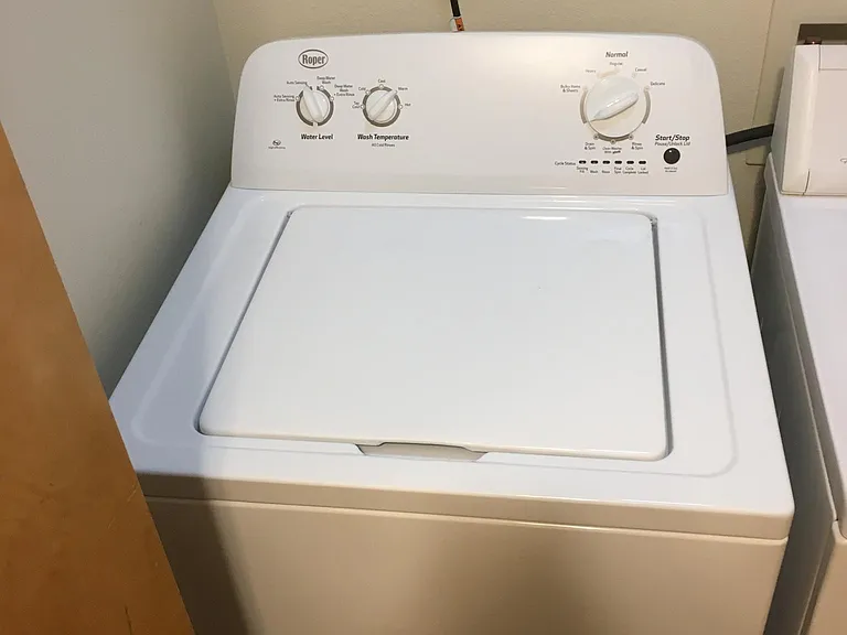 Newer Washer