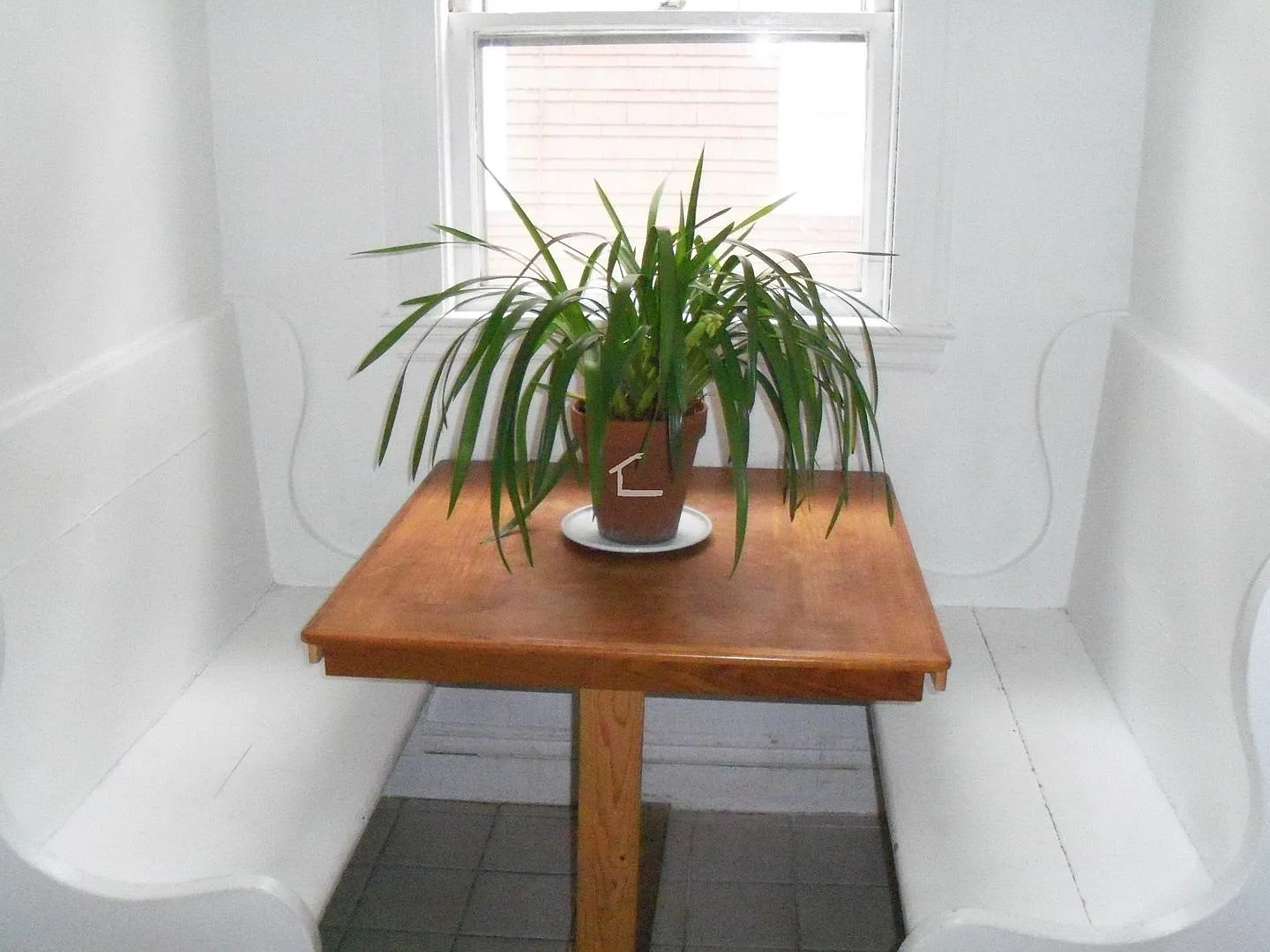 Fabulous XL Apt w 2 full bathrooms in Prime Brookline Area! Perfect for Grads and Working Pros al... — Photo 4