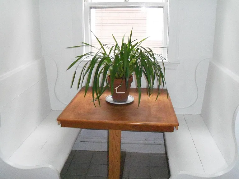 124 Columbia St #11 — Photo 4