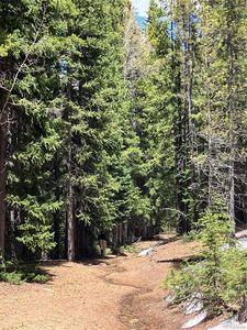 Fs 409.1 Aka Fairburn Mountain Rd, Black Hawk, CO, 80422