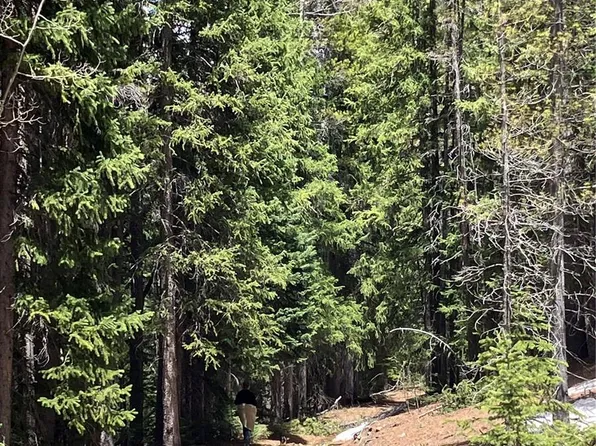 FS 409.1 (aka Fairburn Mtn) Road, Black Hawk, CO 80422