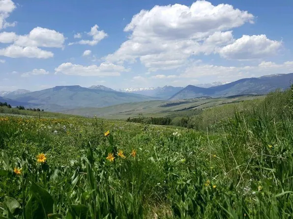 TBD County Road 743, Almont, CO 81210