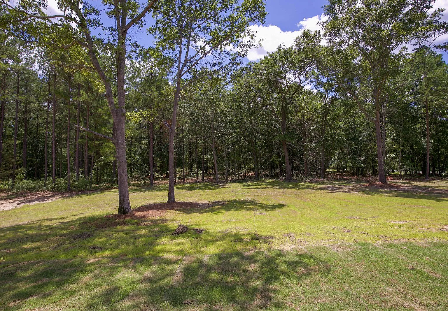 3 bed, 2.5 bath, 1610 sqft, $2,000 — Photo 4