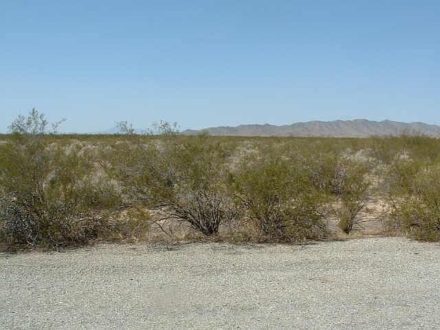 1st image of 3540 N Country Club Road #17