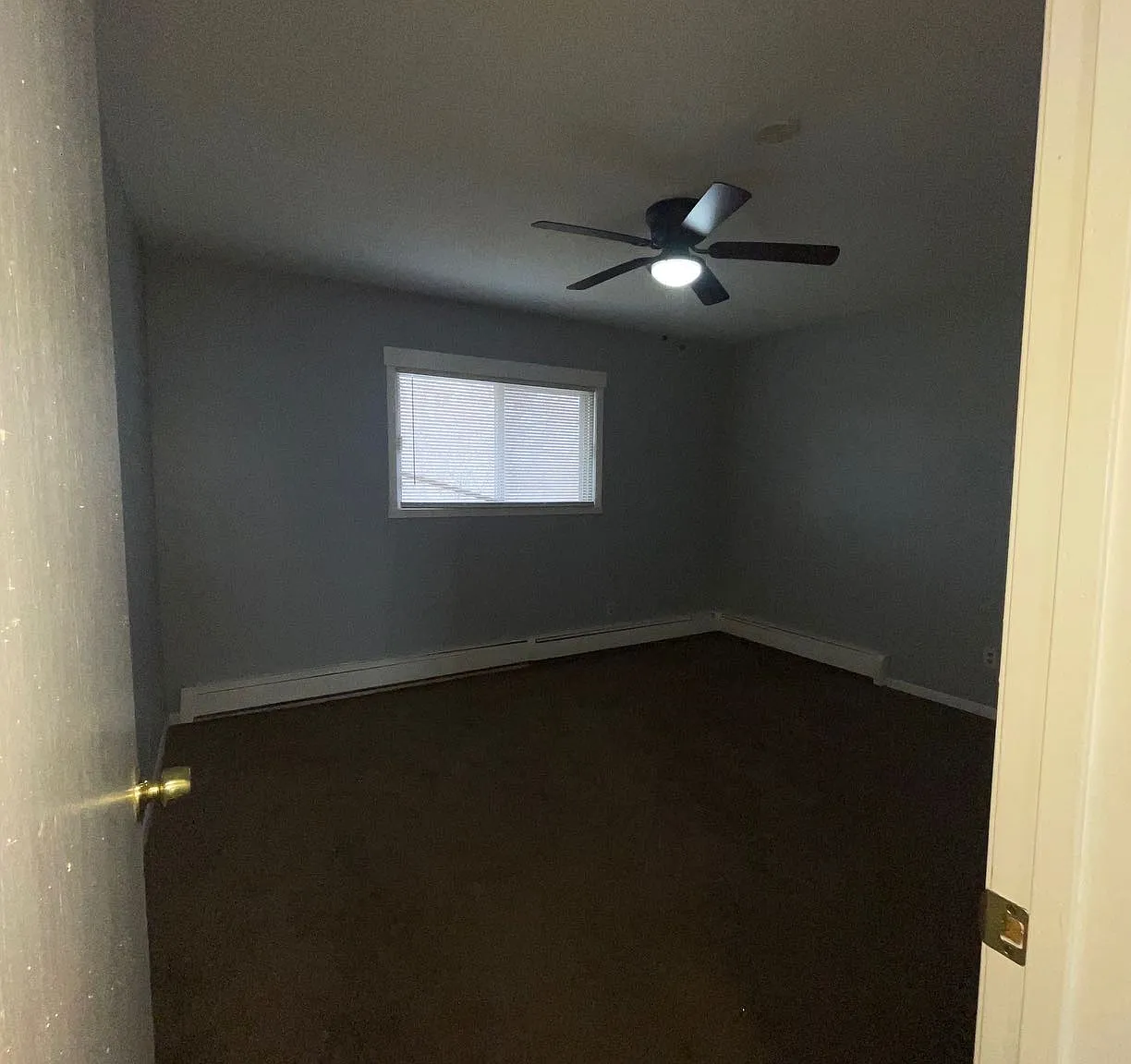 2 bed, 800 sqft, $1,295 — Photo 2