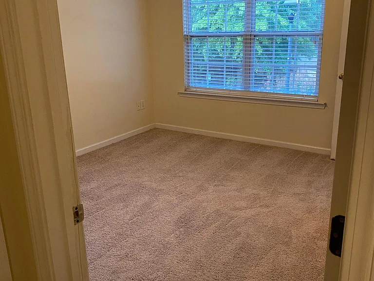 304 Paden Cove Trl — Photo 11