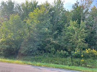 Spencer Lake Rd, Medina, OH