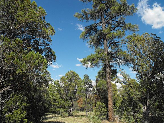 3rd image of 4489 Twin Oaks Loop