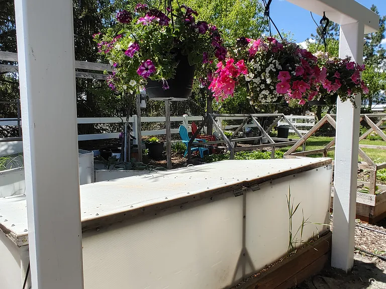 View of raised garden area summertime