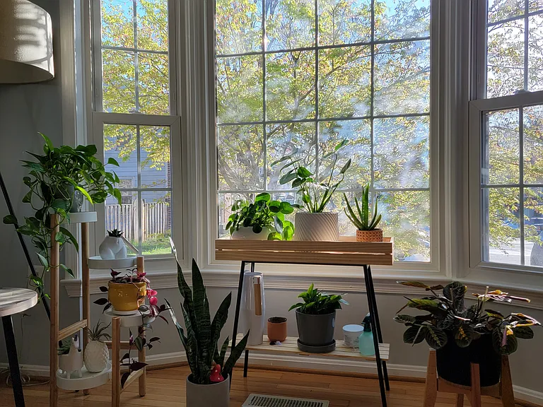 Bay window in the living room
