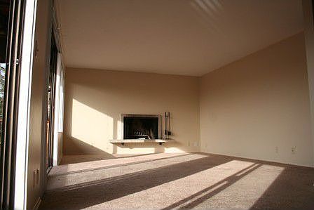Huge Living Room with Wall of Windows