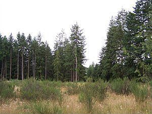 2nd image of 16715 Ty Ln SW