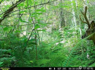 15411 Alder Mashell Rd E, Eatonville, WA 98328