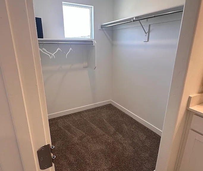 907 E Sea Horse Ct — Photo 13