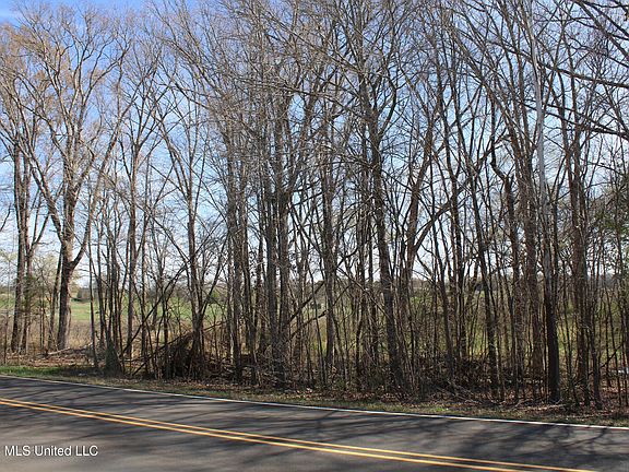 5th image of 7 Barton Desoto Rd