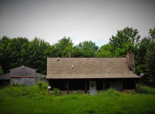 7775 Wolf Rd, Bellevue, MI 49021