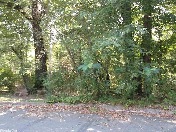 2nd image of Lucy Ln