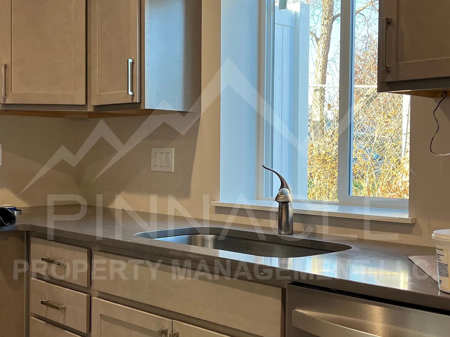 2 bed, 1.5 bath, 927 sqft, $1,250 — Photo 4