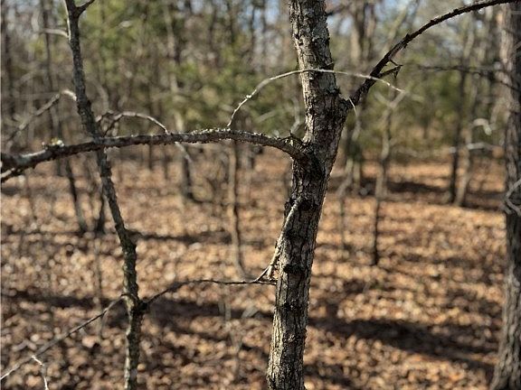 5th image of TRACT One Rural