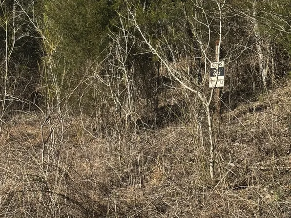 92 Shoreside Dr Lot 92, Smithville, TN 37166