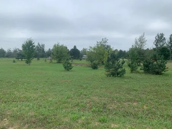 14933 Jason Seide Ln, Coral, MI 49322