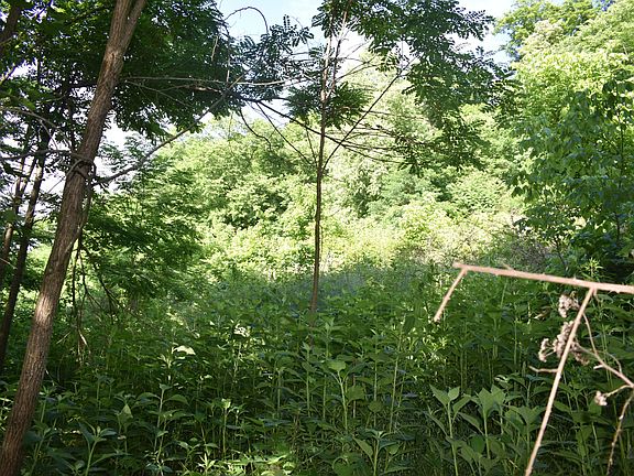3rd image of 0 Brooks Bend Ln Lot 2