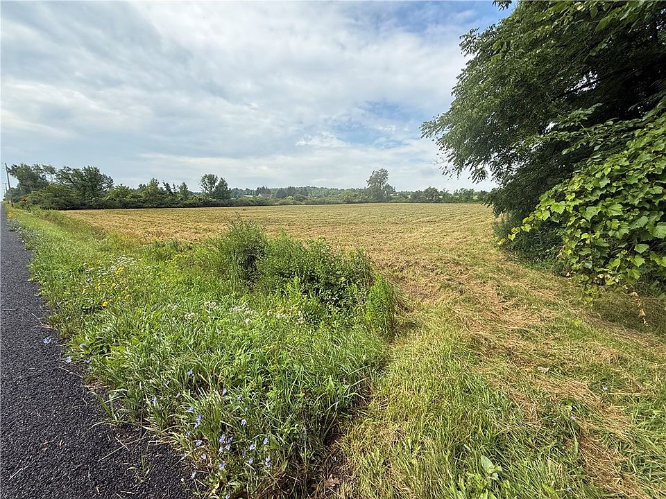 1st image of Halseyville Rd Lot 32
