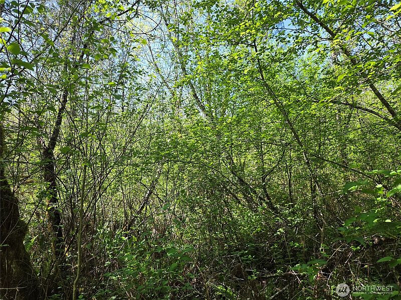 5th image of 0 Falls Road