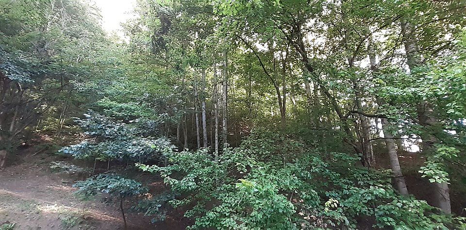 2nd image of 1074 Franklin Grove Rd