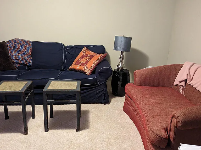 Basement TV room. As my desk in corner and has room for another one.