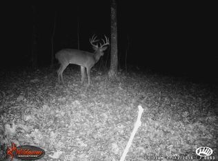 14297 NE 1030 Rd, Osceola, MO 64776
