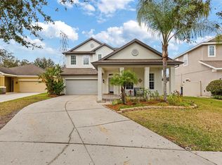 8205 Nectar Ridge Ct, Odessa, FL 33556
