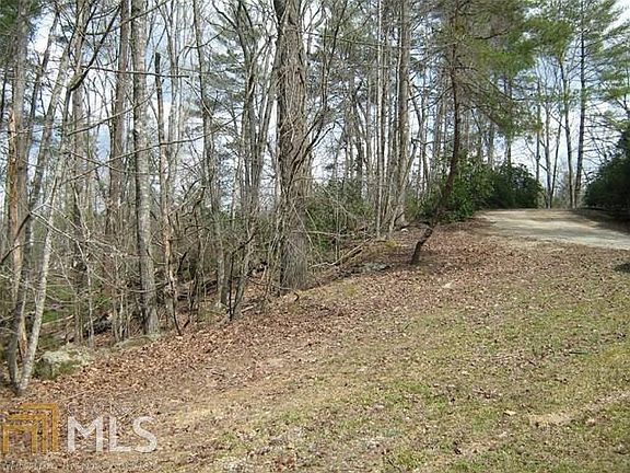 4th image of 1.32 AC Chattahoochee Acres Dr