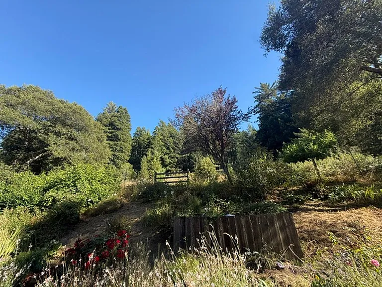 16715 Coleman Valley Rd — Photo 22