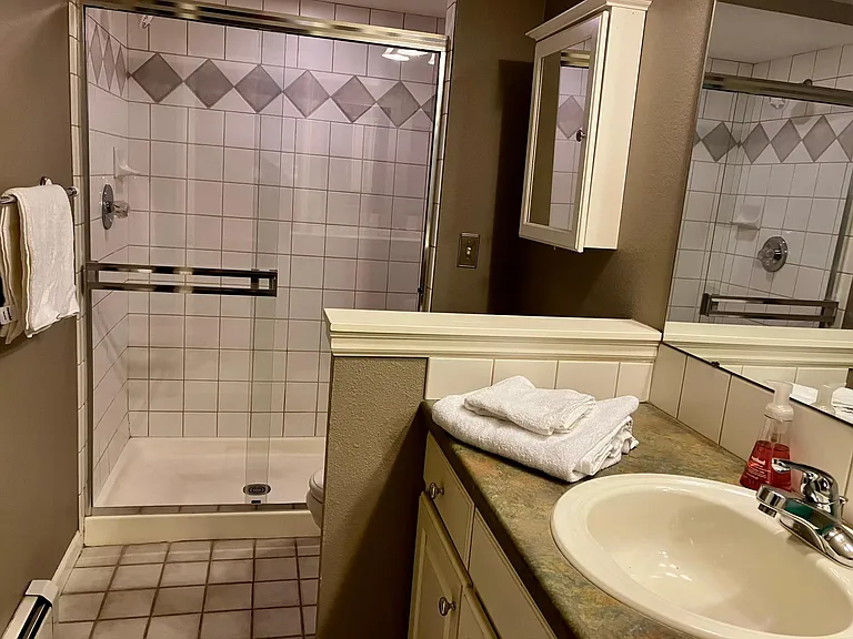 The Master Bathroom walk in shower