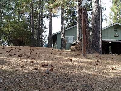 3rd image of 20342 Honey Ln