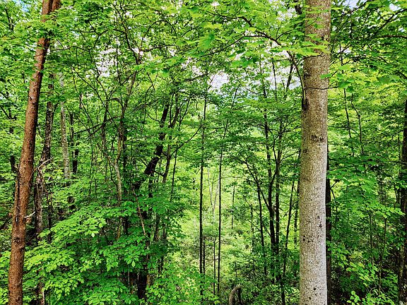 5th image of LOT 6 Alpenrose Dr