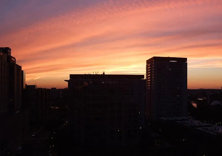 View from Window