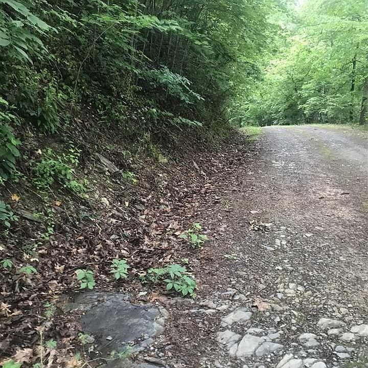 1st image of 0 Meadow Ln Lot 2